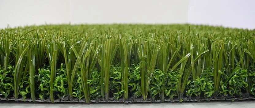 Unfilled Soccer Artificial Grass/Synthetic Grass/Artificial Turf for Football Court Y30-R1